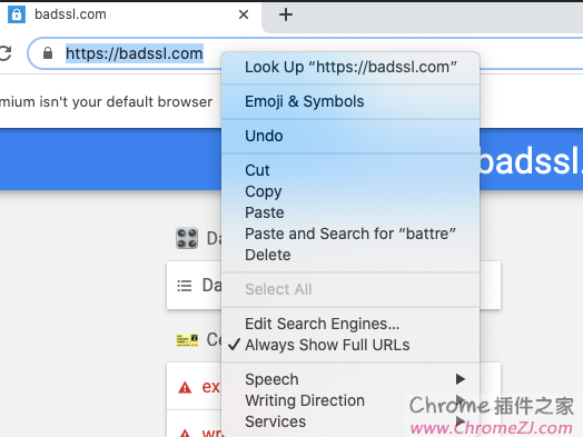 如何在谷歌Chrome浏览器地址栏显示完整URL