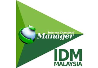 IDM插件