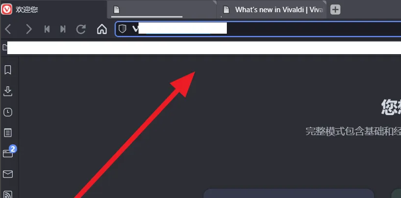 如何更新Vivaldi浏览器？