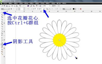 CorelDRAW教程怎么绘制小皱菊花朵