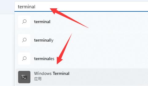 windows11终端找不到文件wt.exeri如何解决