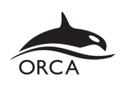 orca浏览器最新版下载
