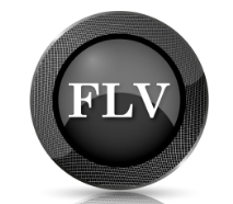 flv播放器