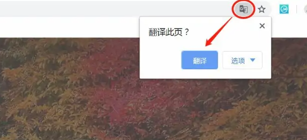 谷歌浏览器翻译功能哪里打开