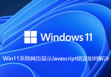 Win11系统网页显示Javascript错误如何解决