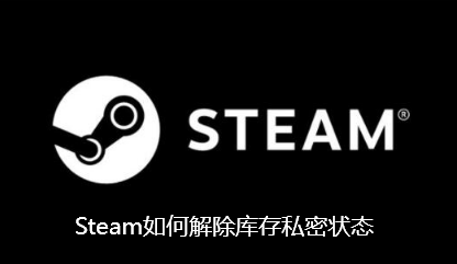 Steam如何解除库存私密状态