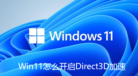 Win11怎么开启Direct3D加速
