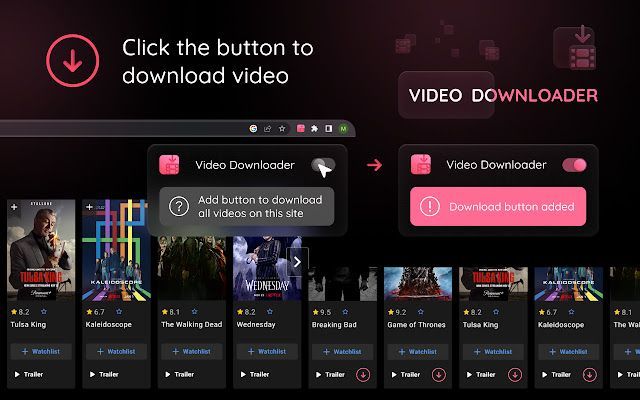 Video Downloader Button插件扩展